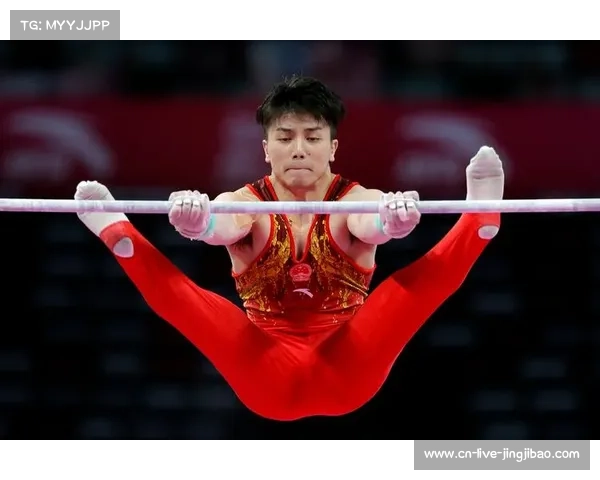 体操裁判线上课程新增单杠模块 20国学员同步研修助力国际裁判技能提升 体操裁判线上课程新增单杠模块 20国学员同步研修助力国际裁判技能提升