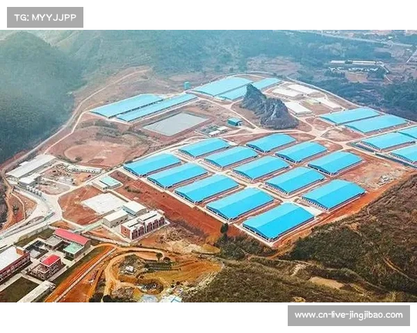 生猪产业发展大会在云浮举办，现代农业与体育产业共促区域经济